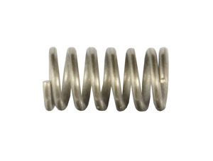 Air Valve Spring (118270)