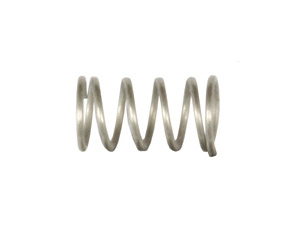 Air Valve Spring (123270)