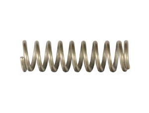 Air Valve Spring (124230)