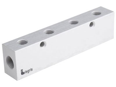 Legris 4 Port 1/8" BSP Manifold