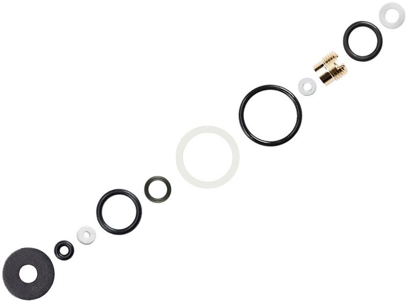 Seal Kit Evolution 2024 (712330)