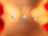 Harder & Steenbeck Infinity 2024 Solo Airbrush Harder & Steenbeck Infinity 2024 Solo Airbrush