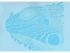 Iguana Airbrush Stencil